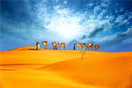 你会介意对象有很好的异性朋友吗?知识星球-探索无止境